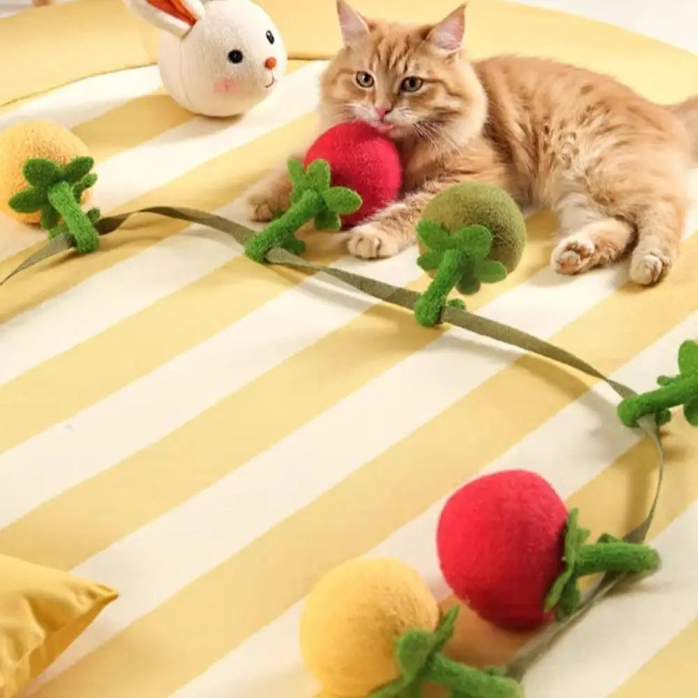 Tomato Cat Teaser String Toy (3-Pack)