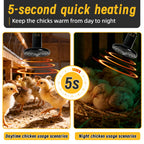 Pet Reptile Far Infrared Ceramic Heating Lamp 110V/220V Heat Emitter Light Bulb 25W 50W 75W 100W 150W 200W Animal Hatch Heating