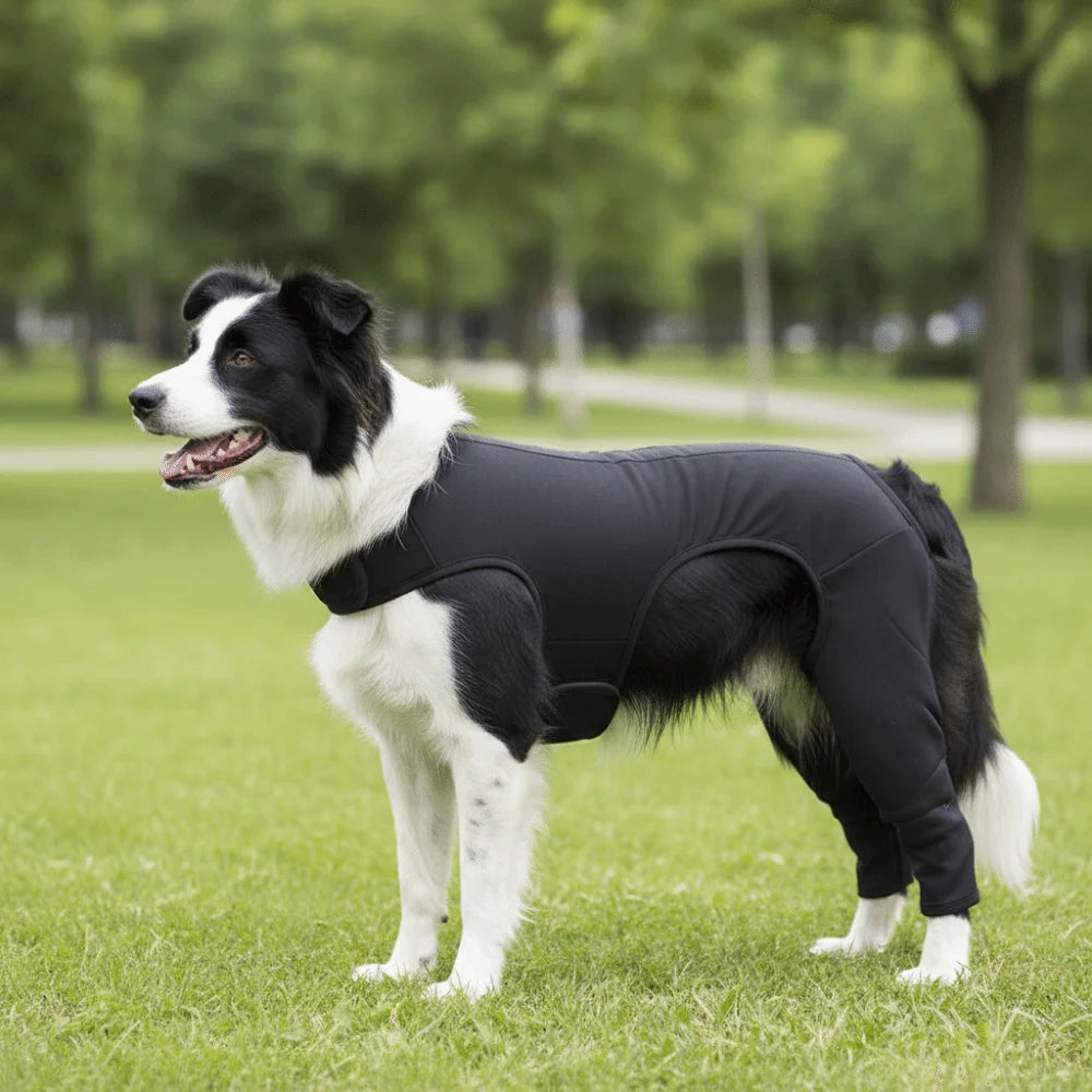 Dog Leg Rehabilitation Suit Anti-Licking (Breathable, Full Coverage)