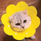 Soft EVA Flower-Shaped Pet Recovery Collar — Anti-Lick & Anti-Bite Wound Protection Cover