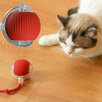 Electric Rolling Ball Cat & Dog Toy — USB Rechargeable Rat-Imitating Auto-Move Trainer