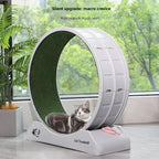Cat Roller Treadmill Running Wheel — Plastic Claw-Grinding Climbing Frame for Indoor Cats