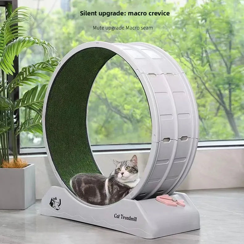 Cat Roller Treadmill Running Wheel — Plastic Claw-Grinding Climbing Frame for Indoor Cats