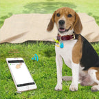 Bluetooth Anti-Loss Tracker with Remote Photo Shutter for Keys, Pets, Wallets & Phones