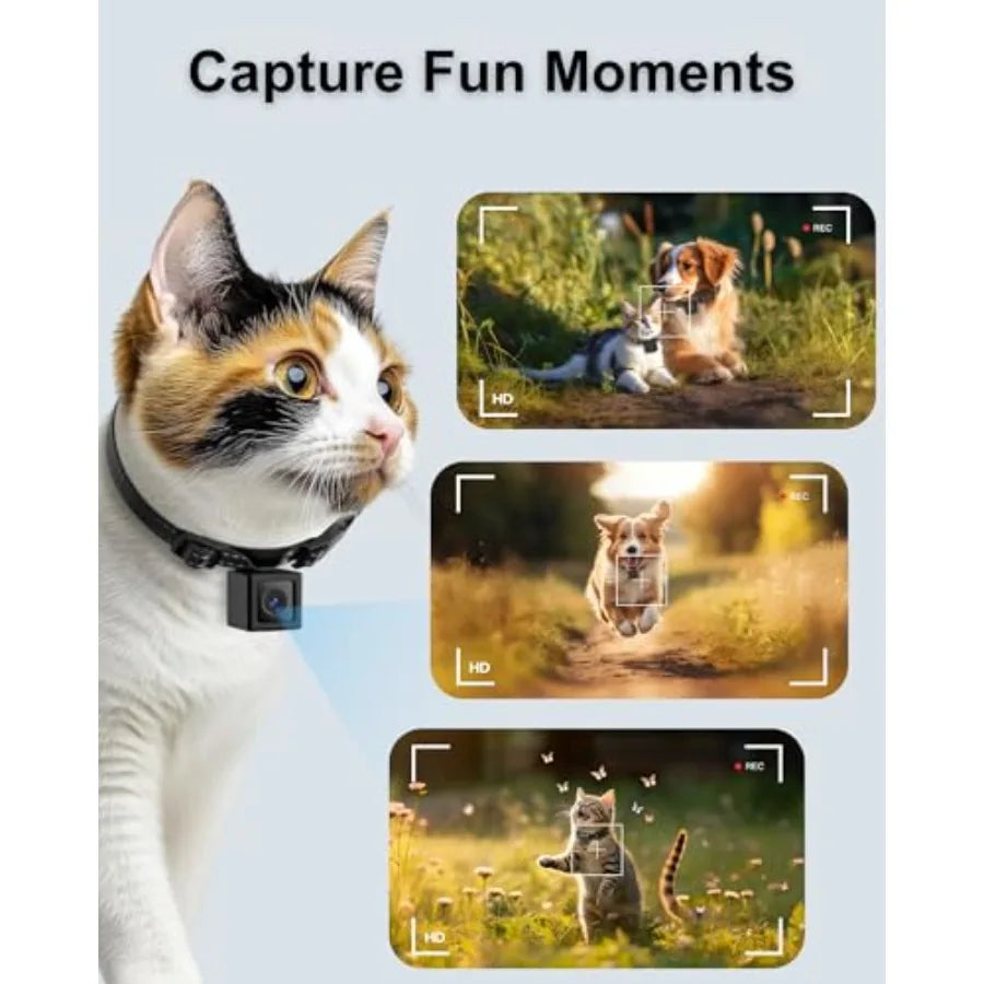 1080P HD Cat Camera Collar - No WiFi, No App Needed Mini Action Pet POV Cam for Cats & Dogs