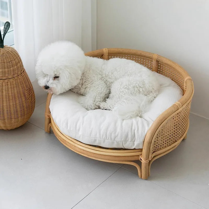 Bohemian Rattan Pet Bed with Cushion & Photo Prop (Round, Summer Cool)