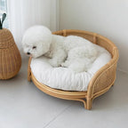 Bohemian Rattan Pet Bed with Cushion & Photo Prop (Round, Summer Cool)