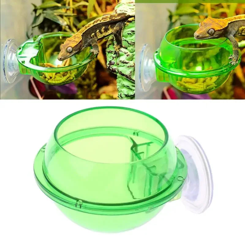 Reptile Feeding Bowl Clear Anti-escape Pet Bowl Insect Worm Food Container Lizard Gecko Chameleon Reptile Small Pet Water Bowl