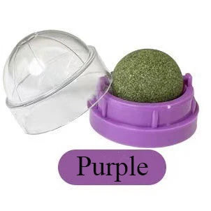 Mint Cat Dental Chew Ball Toy — Teeth Cleaning & Entertainment Lick Toy