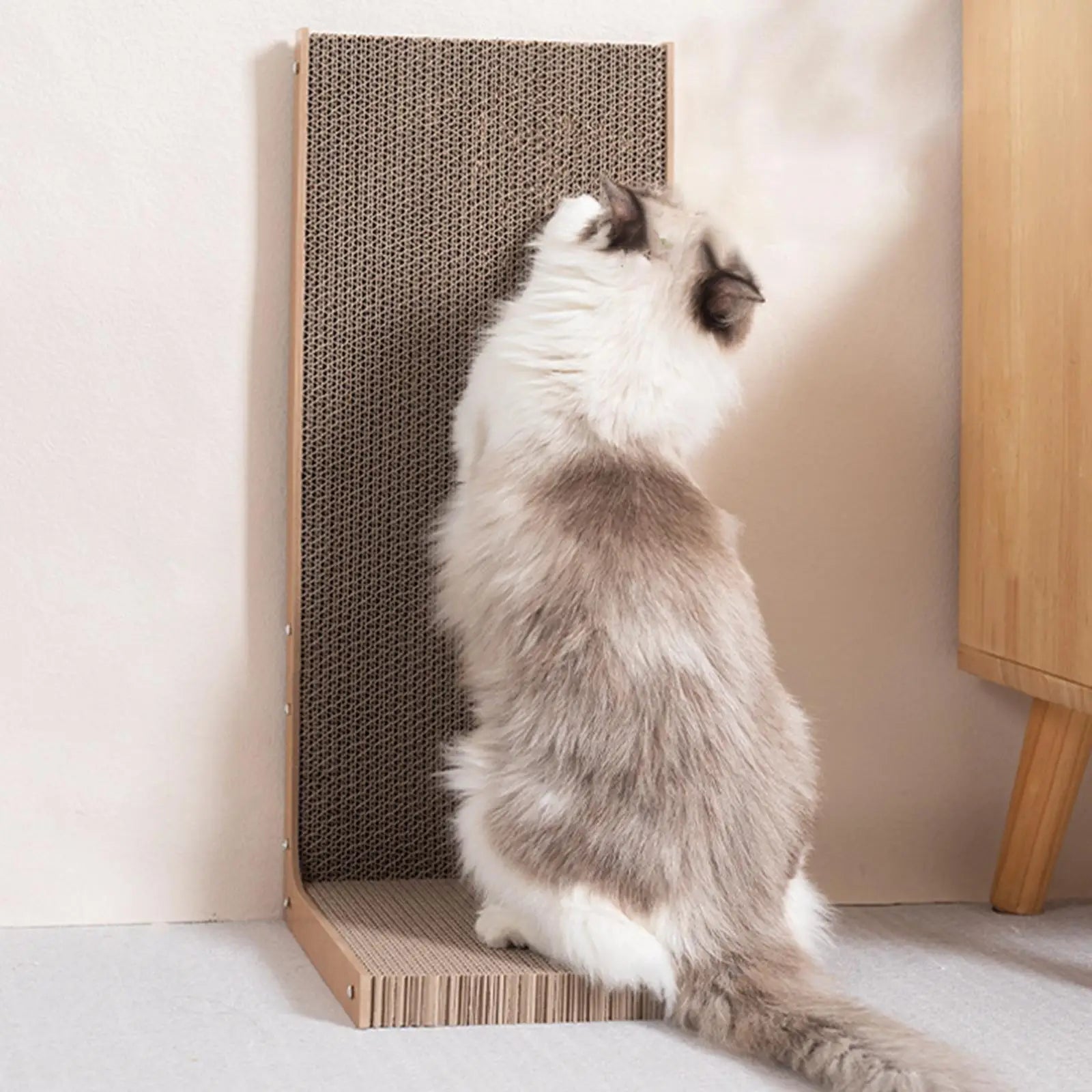Large Cat Scratcher Nest Bed & Scratch Pad — Durable Indoor Cat Toy & Furniture