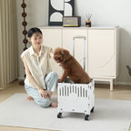 Pet Cart Small and Medium Sized Dog Lightweight Foldable Teddy Corgi Cat Walking Dog Out Lightweight Hand Push Scooter