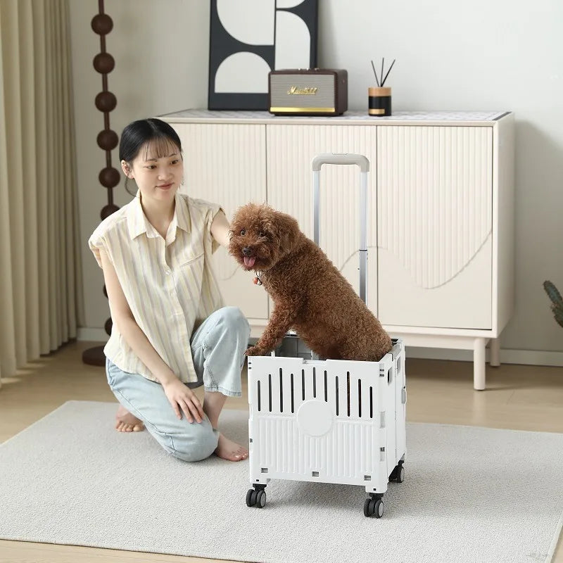 Pet Cart Small and Medium Sized Dog Lightweight Foldable Teddy Corgi Cat Walking Dog Out Lightweight Hand Push Scooter