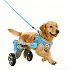 Pet Dog Wheelchair Cart Adjustable Pet Mobility Aid with Wheels Disabled Cat Dog Rehabilitation Walking Mobility Aid Pet Bracket