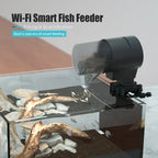 iLONDA Wi-Fi Smart Automatic Fish Feeder 2nd Gen (Long Range Remote, Timer, Countdown Feeding)