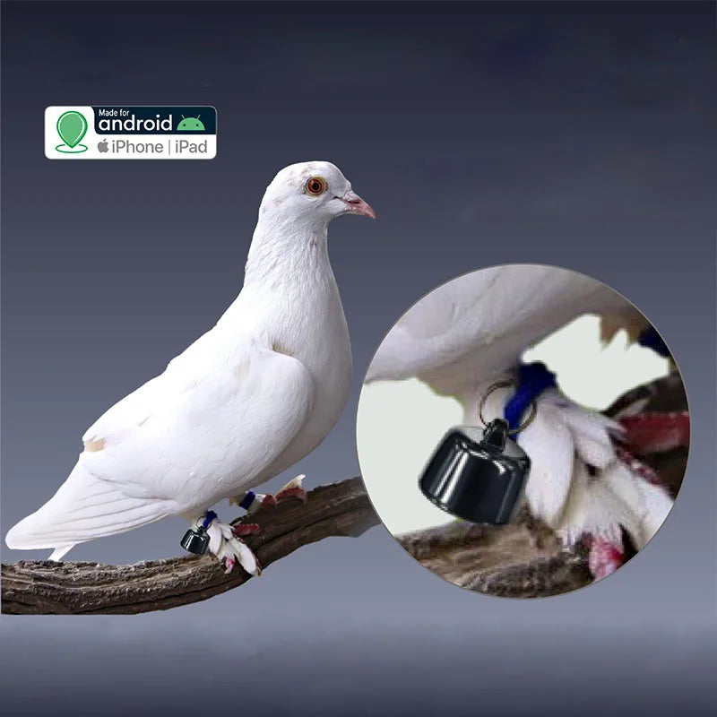 VerdantTrace Mini GPS Pet Tracker for Dogs, Cats & Birds - Waterproof with Real-Time Tracking & 3-Day History