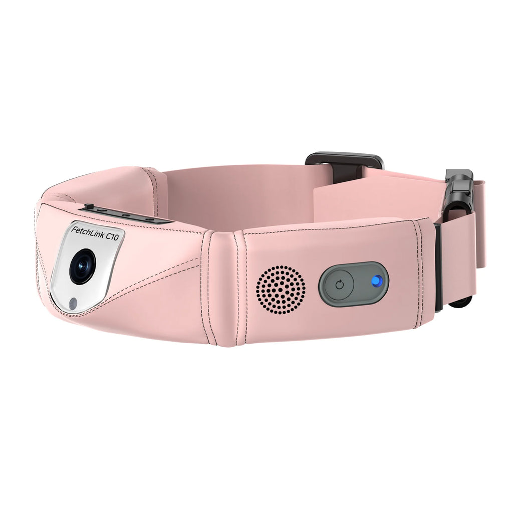 All-in-One Smart Pet Collar with GPS Tracker, 4K Camera & AI Voice Commands - Live POV & Health Alerts