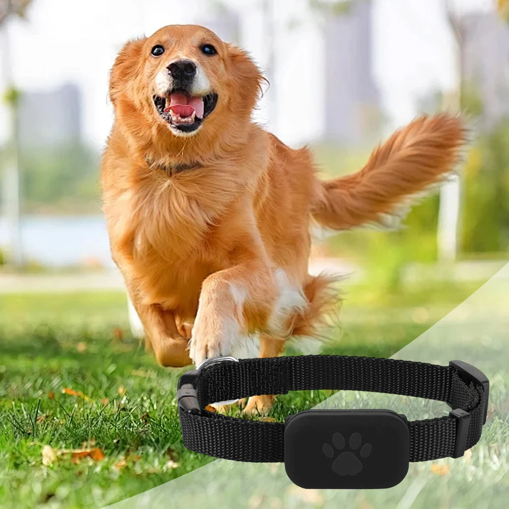 Smart GPS Pet Locator with Adjustable Collar for Dogs & Cats - Real-Time Anti-Loss Tracking Device