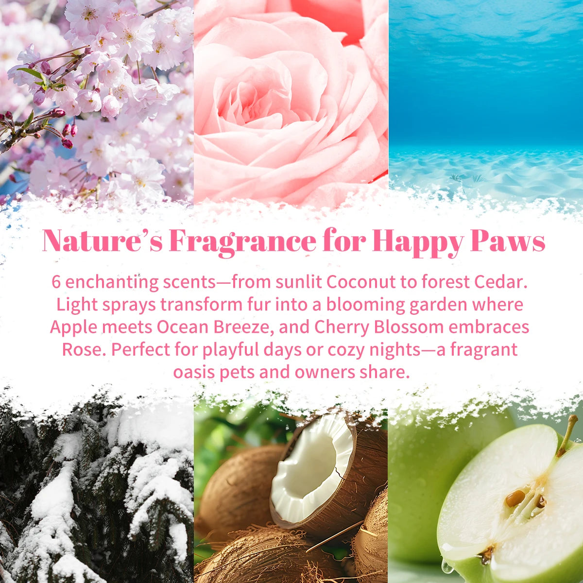 Pet Perfume Gift Set Six Pieces Non Irritating Refreshes Deodorizes Eliminates Body Odor For All Breeds Dogs Cats Travel Use