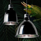 Reptile Deep Dome Lampshade 5.5/8.5/10 Inch Reptile Light Fixture Snakes Lizards Geckos Terrariums Anti-scald Protective Shade