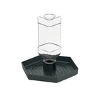 Turtle Food Bowl Anti-slip Reptiles Water Feeder Stable Plastic Automatic Water Dispenser Detachable Turtle Water Bowl Vivarium