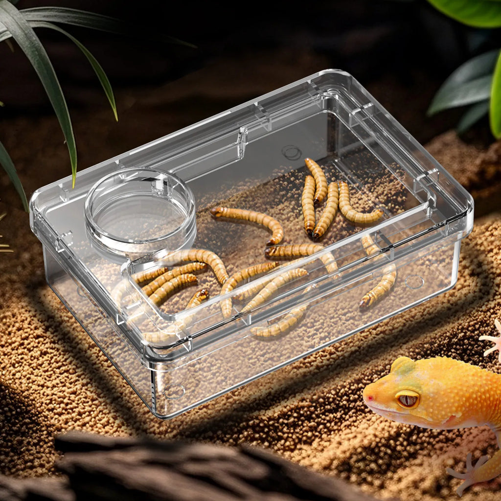 Feeding Bowls and Water Bowls for Reptile Lizards and Geckos to Prevent Tenebrio Molitor and Blaptica Dubia from Escaping