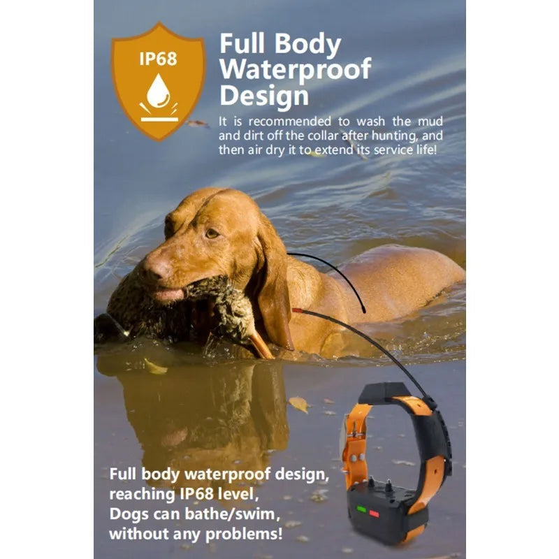 Professional Hunting Dog GPS Tracker with Real-Time Compass & 20-Collar Sync - OEM Available