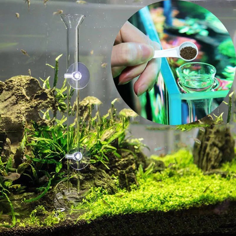 Glass Aquarium Shrimp Feeder Bowl & Tube (Transparent, Snail & Shrimp Food Dish)