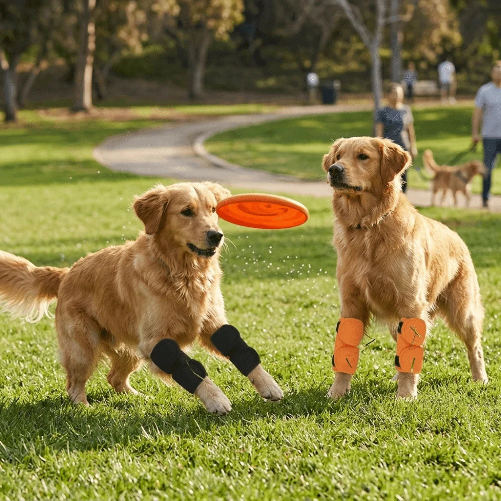 Soft Pet Knee Brace 2-Pack (Thermal, Adjustable, Joint Recovery)