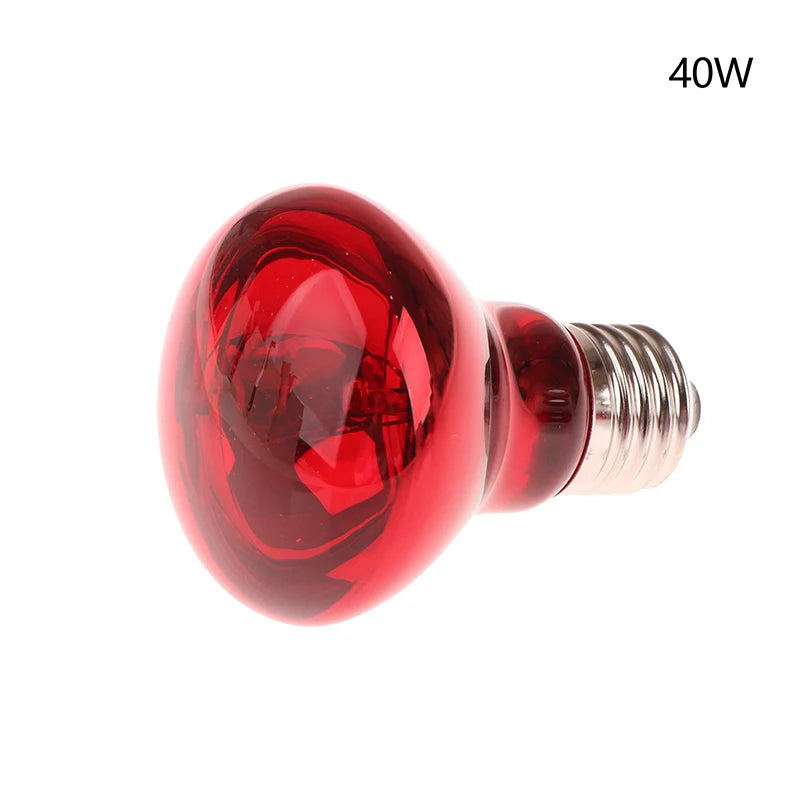 E27 UVA Poultry Bulb Infrared Night Light Day Poultry Heating Bulb For Plants Amphibians Reptile Pets 25/40/50/60/75/100W