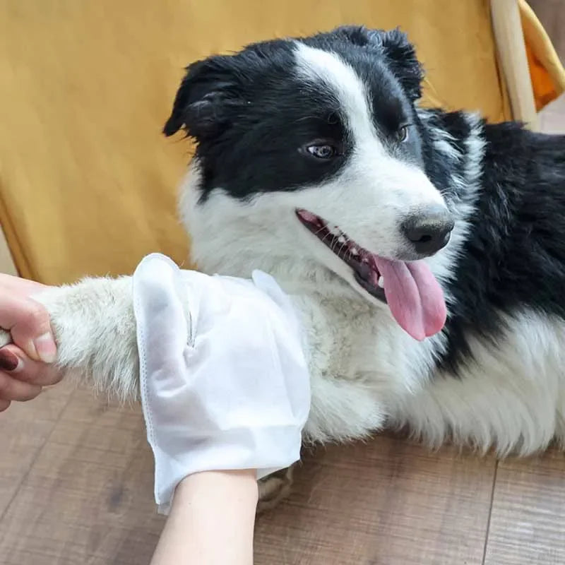 6PCS Pet Disposable Glove Towels Cat Dog Wash Free Glove No Rinse Washing Gloves Towels Deodorizing Dry Cleaning Wet Towels