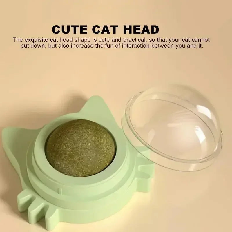 Natural Catnip Wall-Spin Ball Cat Toy — Mint Digestive & Dental Stimulator