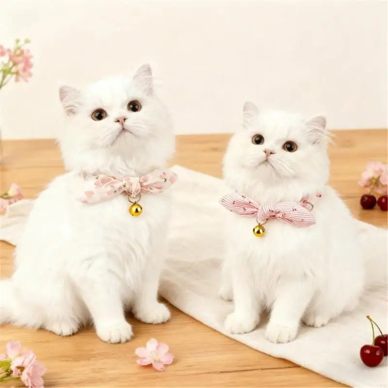 Heart Pet Collar with Flower Design for Cats — Comfortable Stylish Cat Collar