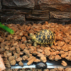 Reptile Heat Mat Warm Hydroponic Heating Pad 20W/14W/7W/5W for Snake Lizard Terrarium Greenhouse Germination B03E