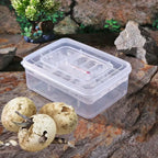 16 Grids Reptiles Lizard Snake Egg Incubator Tray Hatcher Plastic Breeding Case
