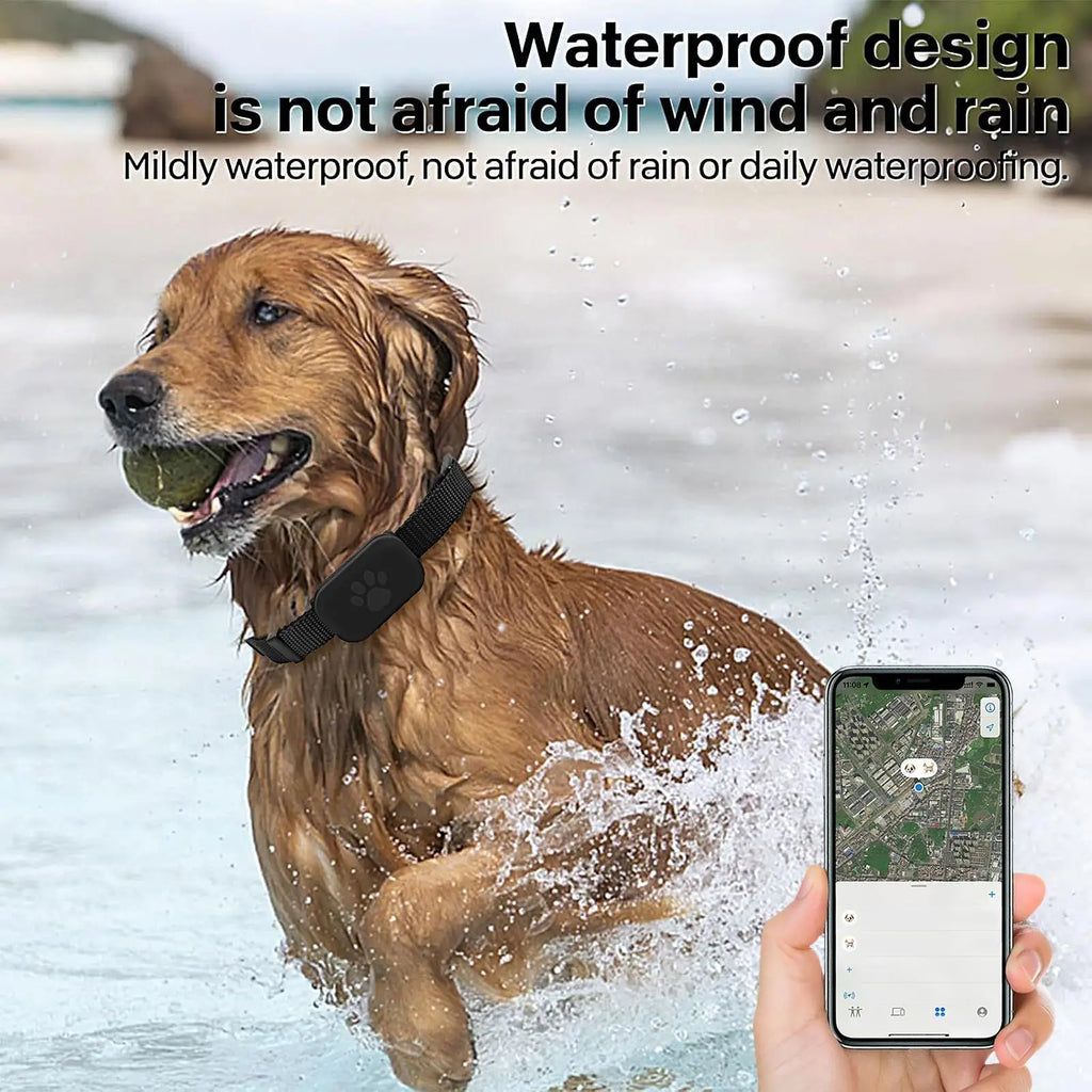No-Subscription GPS Pet Tracker with Adjustable Collar - Long-Lasting Battery Locator for Puppies, Kittens & Dogs