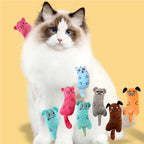 Mini Catnip Chew Toy for Kittens — Cute Plush Teeth Grinding Squeaky Toy with Catnip
