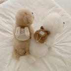 INS Pet Bag Cute Plush Pet Outing Bag Puppy Dog Cat Pet Self Backpack Poop Pickup Bag Snack Multipurpose Small Dog Supplies