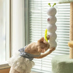 Smart Whack-a-Mole Caterpillar Cat Toy — Motion Sensor Feather Teaser for Indoor Cats