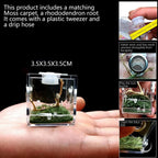 Small Reptile Feeding Box Transparent Acrylic Jumping Spider Breeding Box Habitat Small Insect Container Humidifier Feeding Box
