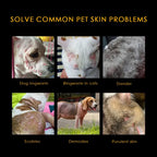 NEW Pet Skin Anti-Itch Ointment: Fast Relief for Fungal/Mite Issues, Inflammation, Hair Loss & Ulceration, Universal for Dogs