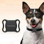 Smart Waterproof Mini GPS & Bluetooth Pet Locator Collar - Anti-Loss Tracking for Cats & Dogs