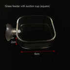 Glass Aquarium Shrimp Feeder Bowl & Tube (Transparent, Snail & Shrimp Food Dish)