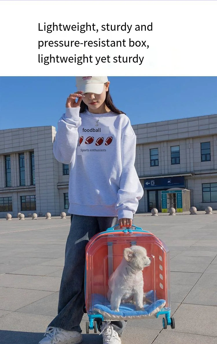 2026 High Quality Translucent Pet Carrier Portable Outdoor Cat Bag Large Capacity Aviation Travel Case