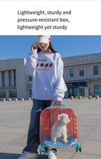 2026 High Quality Translucent Pet Carrier Portable Outdoor Cat Bag Large Capacity Aviation Travel Case