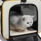 Collapsible Pet Trolley Carrier Zipper Openings Soft-Sided Pet Trolley Top Carry Handles Breathable