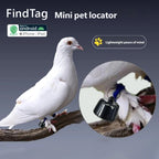 Mini Global Pet GPS Locator for Birds, Dogs & Cats - 3-Day Movement History View (iOS & Android)
