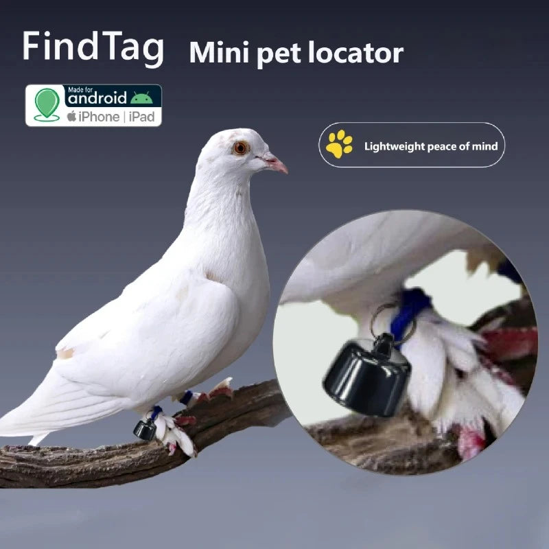 Mini Global Pet GPS Locator for Birds, Dogs & Cats - 3-Day Movement History View (iOS & Android)