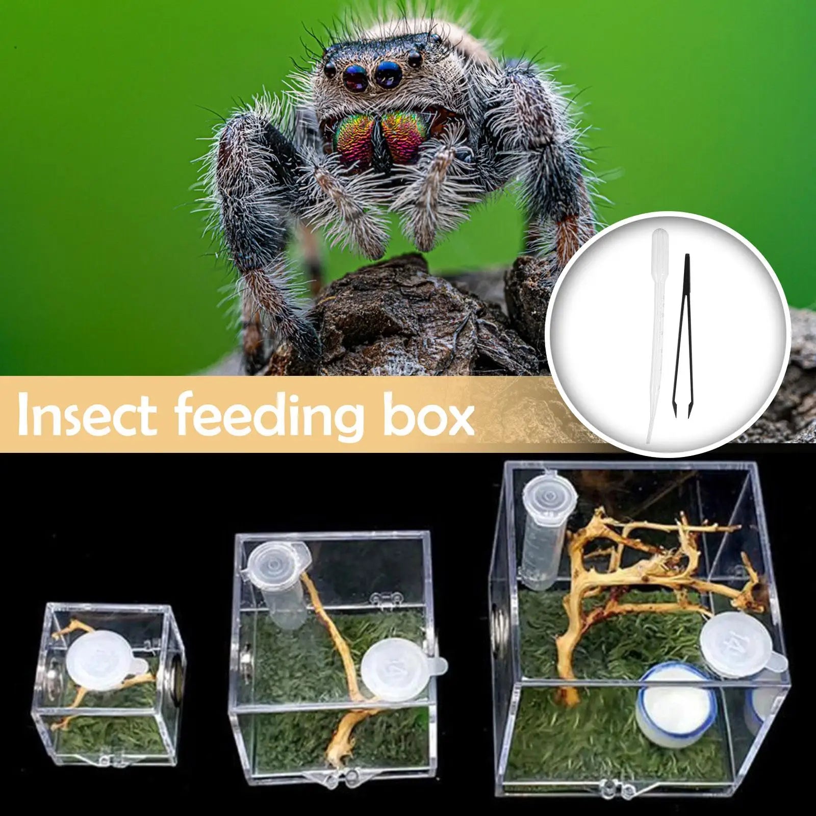 Small Reptile Feeding Box Transparent Acrylic Jumping Spider Breeding Box Habitat Small Insect Container Humidifier Feeding Box