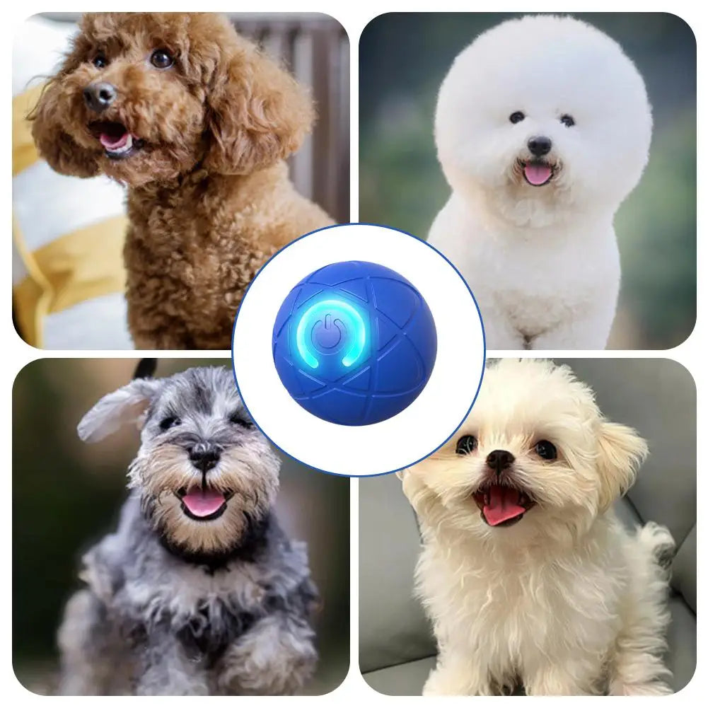 Smart USB Electric Bouncing Ball Pet Toy — Auto-Moving Interactive Toy for Cats & Dogs