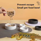 HOT! Reptile Food Bowl Anti-Escape Ceramic Feeder Dish Black White Reptile Water Bowl For Hermit Crab Gecko Chameleon Corn Snake